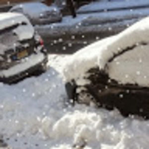 Meet your Posher, Steven